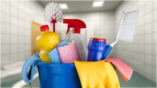Carpet cleaner preparing safe cleaning equipment before starting work