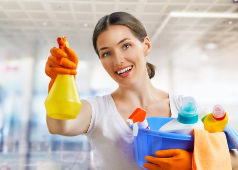 Supplier due diligence and audit process for carpet cleaners