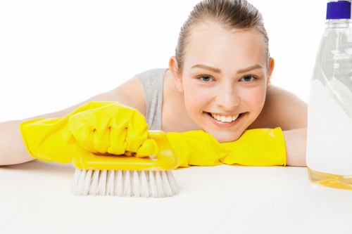 Professional stain removal in an Upper Walthamstow home setting
