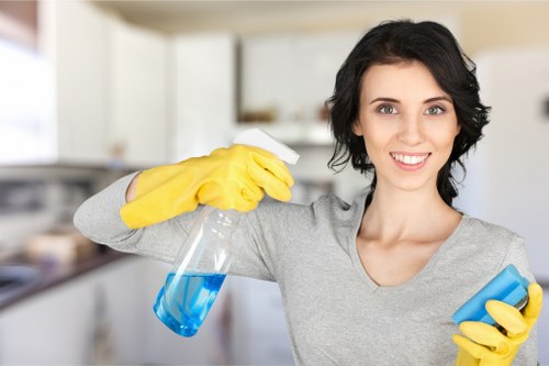 Professional mattress cleaning process for a home in Upper Walthamstow