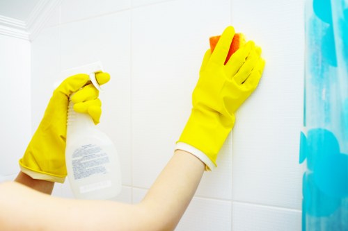 Deep cleaning treatment for pet odour in upholstery and carpets