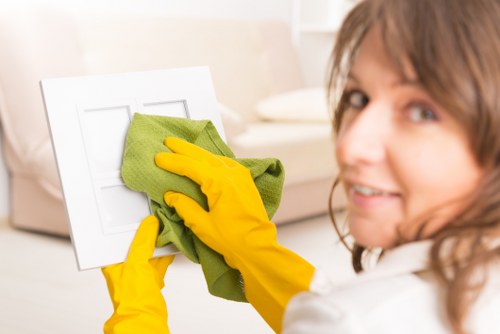 Cleaner carpets and upholstery after stain removal in Upper Walthamstow